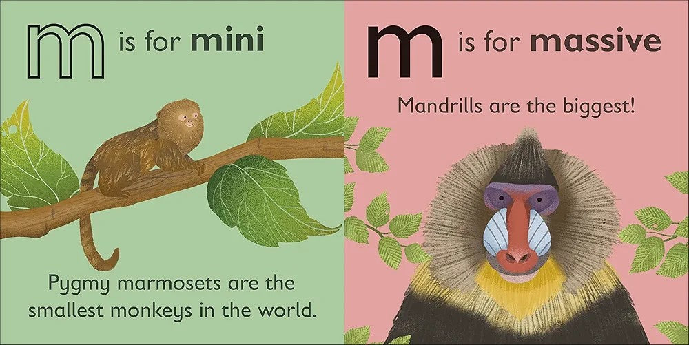 M is for Monkey
