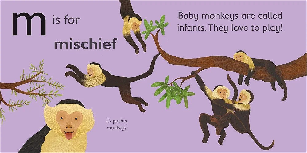 M is for Monkey