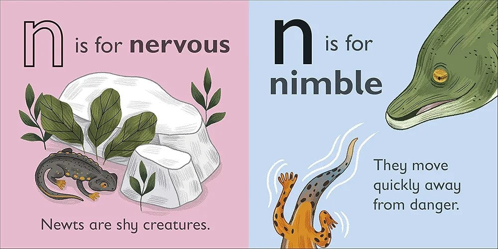 N is for Newt
