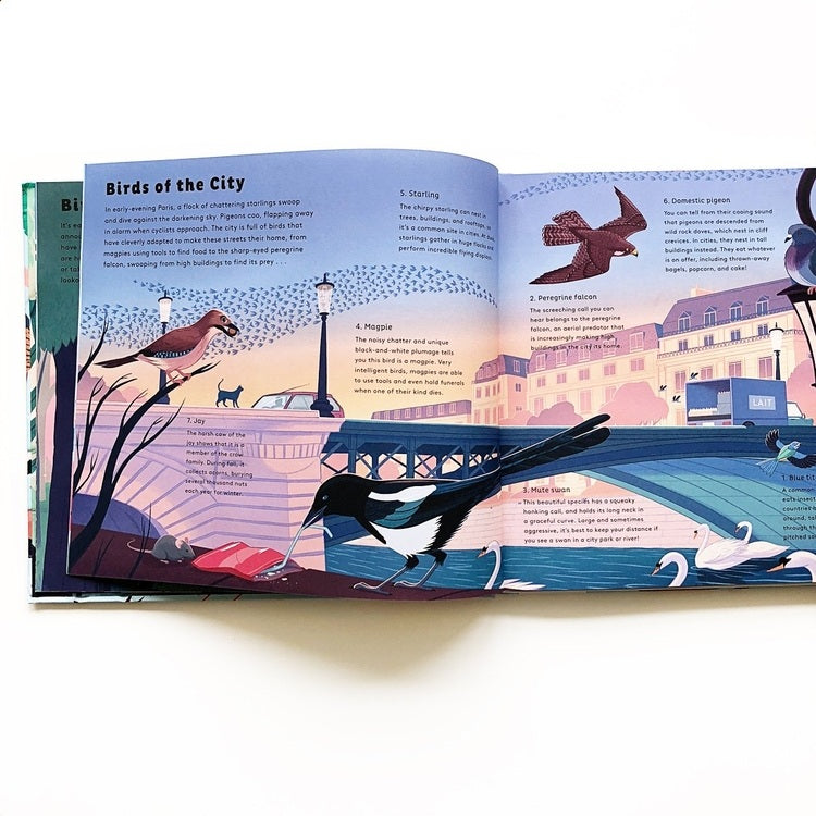 Open book with illustrations of birds and cityscape